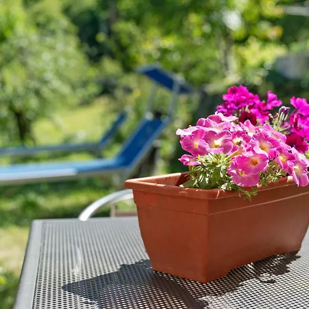 Holiday home La Casa Di Pietra - *
